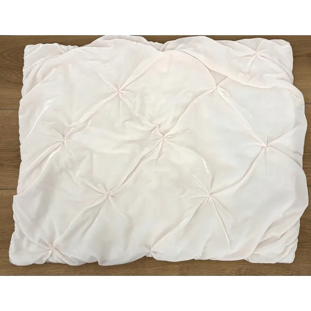 Pottery Barn Kids x Monique Lhuillier Velvet Pintuck Pillow Shams Blush Set of 2